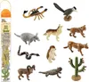 Safari Ltd Desert TOOB, 3 Jahr(e), Desert, Mehrfarbig Produktbild-Vorschau 1