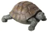 Boltze Figur Slomo Schildkröte (Dekofigur für Garten / Anteprima dell’immagine prodotto 2