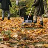 Fiskars 1027037, hrable na lístie, Čierna, Strieborná, Náhľad obrázku produktu 10