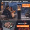 BRAST Gasheizer Gasheizstrahler FLAME | 2-stufige Produktbild-Vorschau 3