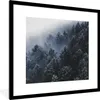 MuchoWow® Gerahmtes Poster Bäume - Nebel - Kiefer 40x40 cm Produktbild-Vorschau 1