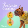 GF Pet Elastofit Regenmantel für Hunde, gelb - M Produktbild-Vorschau 8