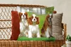 MuchoWow® Zierkissen Sofakissen Wohnzimmer Dekokissen 60x60 Produktbild-Vorschau 5