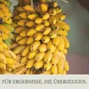 Floravera Premium Bananen Flüssigdünger 2 x 1 Liter Produktbild-Vorschau 3