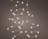 Ghirlanda luminosa Lumineo LED Micro con funzioni di Anteprima dell’immagine prodotto 3