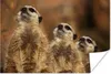 MuchoWow® Poster Sonne - Erdmännchen - Familie 60x40 cm - Produktbild-Vorschau 1