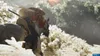 A person on horseback in a natural setting. Produktbild-Vorschau