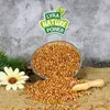 A bowl of sorghum seeds is shown, with a scoop and a flower nearby, against a textured gray background. Produktbild-Vorschau