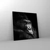 Bilder auf glas - Einteilig - Affe Gorilla Porträt - Produktbild-Vorschau 4
