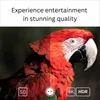 Streaming Box GD2 4K HDR Smart Google TV Player Android | Náhľad obrázku produktu 4
