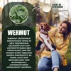 Saint Nutrition® WORMWOOD – Wurmmittеl für Hunde – Wurmkur Produktbild-Vorschau 6