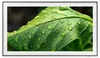 Samsung GQ32LS03CBU The Frame (2023), LCD-TV mit Produktbild-Vorschau 40