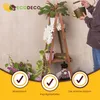Étagère en échelle ECODECO pour jardinière surélevée de Voir les images du produit 3