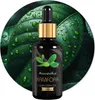 Kampferöl 30ml - 100% natürlich & rein für Aromatherapie Produktbild-Vorschau 16