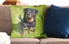 MuchoWow® Zierkissen Sofakissen Wohnzimmer Dekokissen 60x60 Produktbild-Vorschau 2