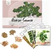 Semi di bonsai unici con alto tasso di germinazione - set Anteprima dell’immagine prodotto 4