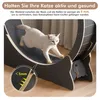 Mondeer Jouet intelligent pour animaux Tapis roulant pour Voir les images du produit 5