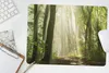 MuchoWow® Mauspad Mousepad Wald - Licht - Natur - Produktbild-Vorschau 5