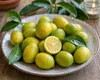 Italienische Limequat Eustis 70–100 cm – Citrus x Produktbild-Vorschau 3