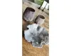 CreativEpoxy Resin 50 Gießharz 6750 g Produktbild-Vorschau 6