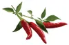 Peperoncino EMSA Click & Grow Anteprima dell’immagine prodotto 1