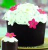 Decora 0320161 5ER-PACK PANETTONE PAPIERBACKFORMEN ø 15 x h Produktbild-Vorschau 5