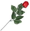 Wawi Choco-Rose Produktbild-Vorschau 1