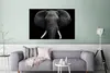 MuchoWow® Poster Elefant - Wildtiere - Schwarz - Weiß - Produktbild-Vorschau 5