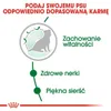 Royal Canin Mini Ageing 12+ | 3,5kg Produktbild-Vorschau 6