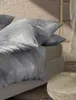 Irisette Mako-Satin Bettwäsche-Garnitur Wave 8624 Farbe Produktbild-Vorschau 5