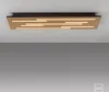 Stropné svietidlo JUST LIGHT LED 15591-79, 25 W, 3000 K, Náhľad obrázku produktu 9