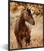 MuchoWow® Gerahmtes Poster Pferd - Sonne - Porträt - Natur Produktbild-Vorschau 1