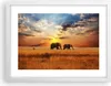 Gerahmtes Poster - Weißer Rahmen - Elefanten Safari Produktbild-Vorschau 1