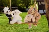 Steiff  Ollie Eule Schmusetuch 26 rosebraun/ creme 241857 Produktbild-Vorschau 5