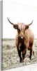 Vlies Leinwandbild - Young Stag (1 Part) Vertical 40x60 cm Produktbild-Vorschau 1