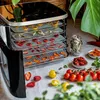 Mini dehydrator DA 450 (roestvrij staal/zwart, 450 watt, Productafbeelding-voorbeeld 12