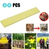 Médicament apicole contre les varroas, set de 40 pièces Voir les images du produit 6