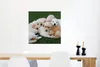 MuchoWow® Poster Tiere - Welpen - Hunde 50x50 cm - Produktbild-Vorschau 5