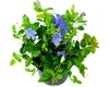 Barvínek menší FloraSelf Vinca minor květináč Ø 13 cm Náhled obrázku produktu 1