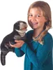 Folkmanis Handpuppe Otter 45 cm Produktbild-Vorschau 4