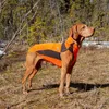 Back on Track Eddie Petite Hundepullover reflektierend Produktbild-Vorschau 10