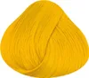 La Riché Directions Sun Flower Colour Booster Conditioner Produktbild-Vorschau 2