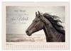 Pferdepoesie - Augenblicke voller Seele (Wandkalender 2027 Produktbild-Vorschau 6