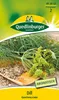 Quedlinburger Saatgut - Dill Gewöhnlicher - Samen - 492852 Produktbild-Vorschau 1