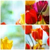 Gerahmtes Poster - Schwarzer Rahmen - Tulpe Blume Plantage Produktbild-Vorschau 9