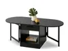 A black oval coffee table with storage and a leaf in a vase on top, isolated on a white background. Náhľad obrázku produktu