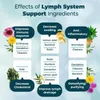 Lymph System (120 gélules) Complément alimentaire, Voir les images du produit 5