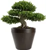 HowHomely | Pot de fleurs - Cache-pot - marron - L61xH56 cm Voir les images du produit 1