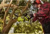 A person is using a Ryobi electric chainsaw to cut a tree branch. Produktbild-Vorschau