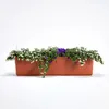Berberis Blumenkasten Pflanzkasten mit Bewässerungssystem Produktbild-Vorschau 23